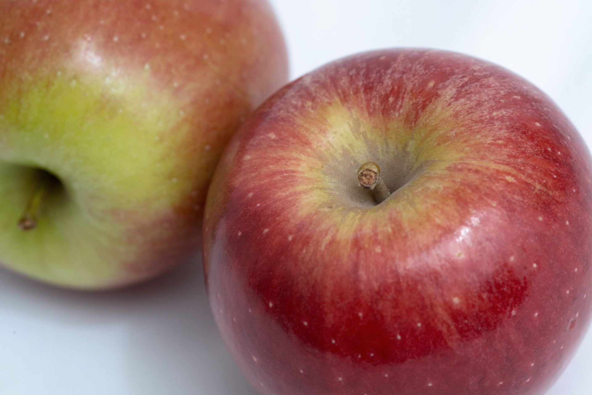 E-learning Hardfruit