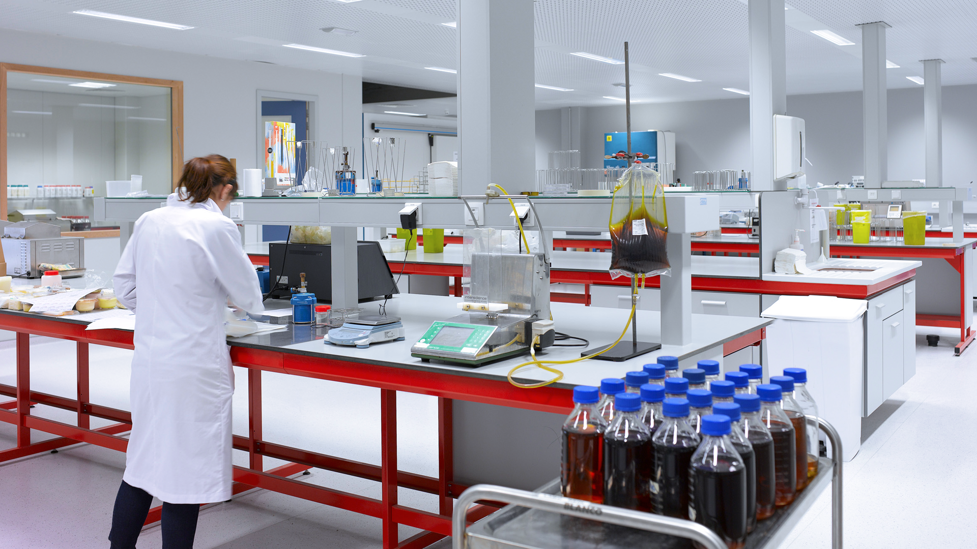 E-learning Cleaning and disinfection - Polish
