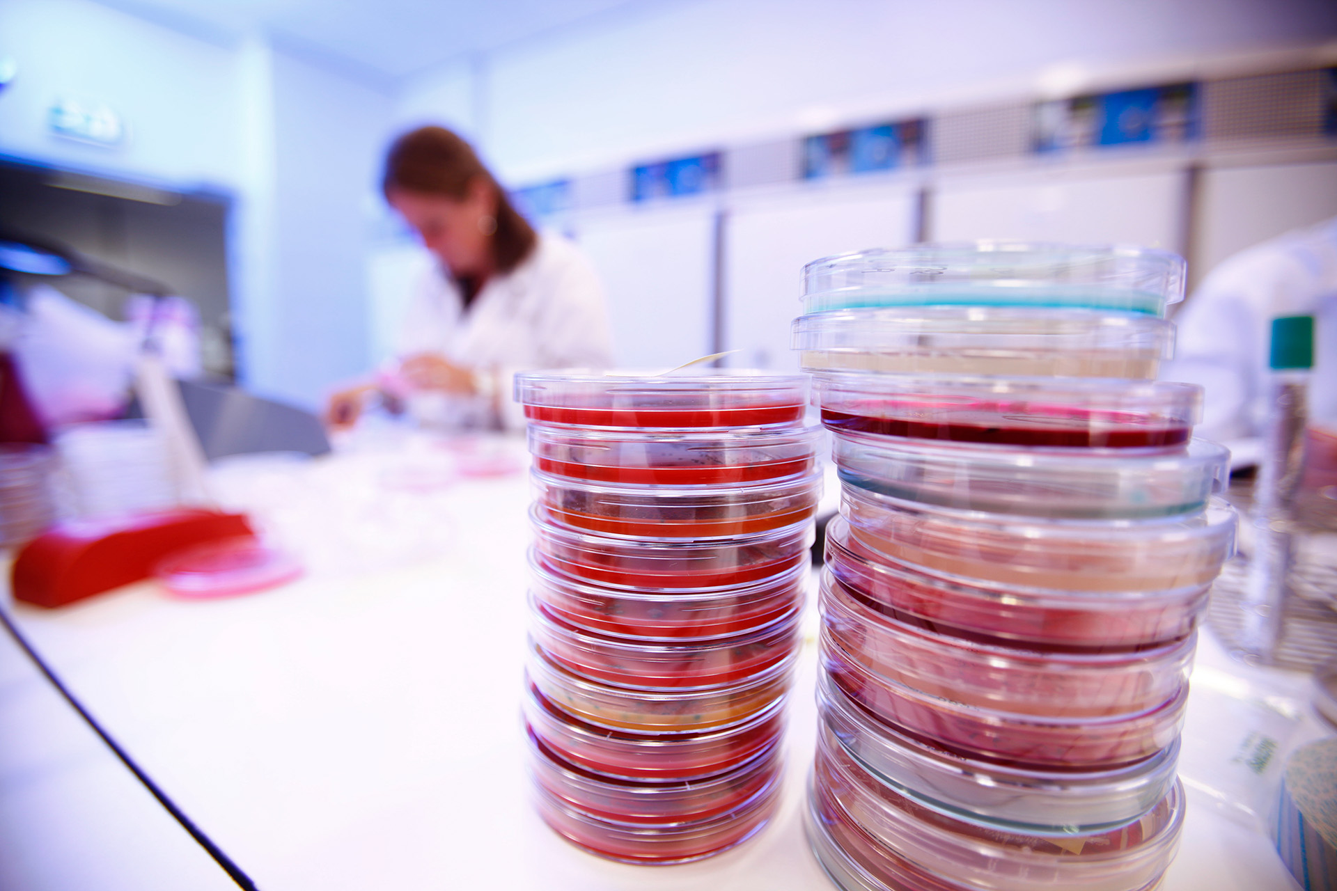 Accreditatie organische zuren Normec Foodcontrol