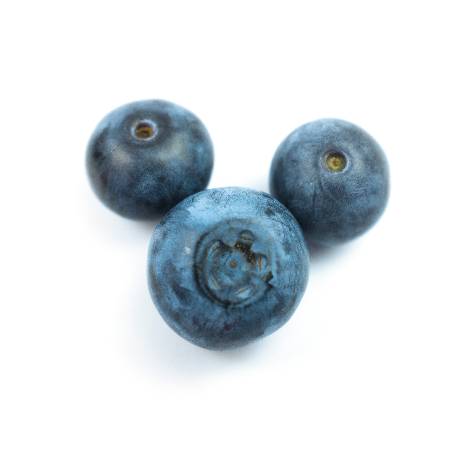 A consistent quality of blueberries