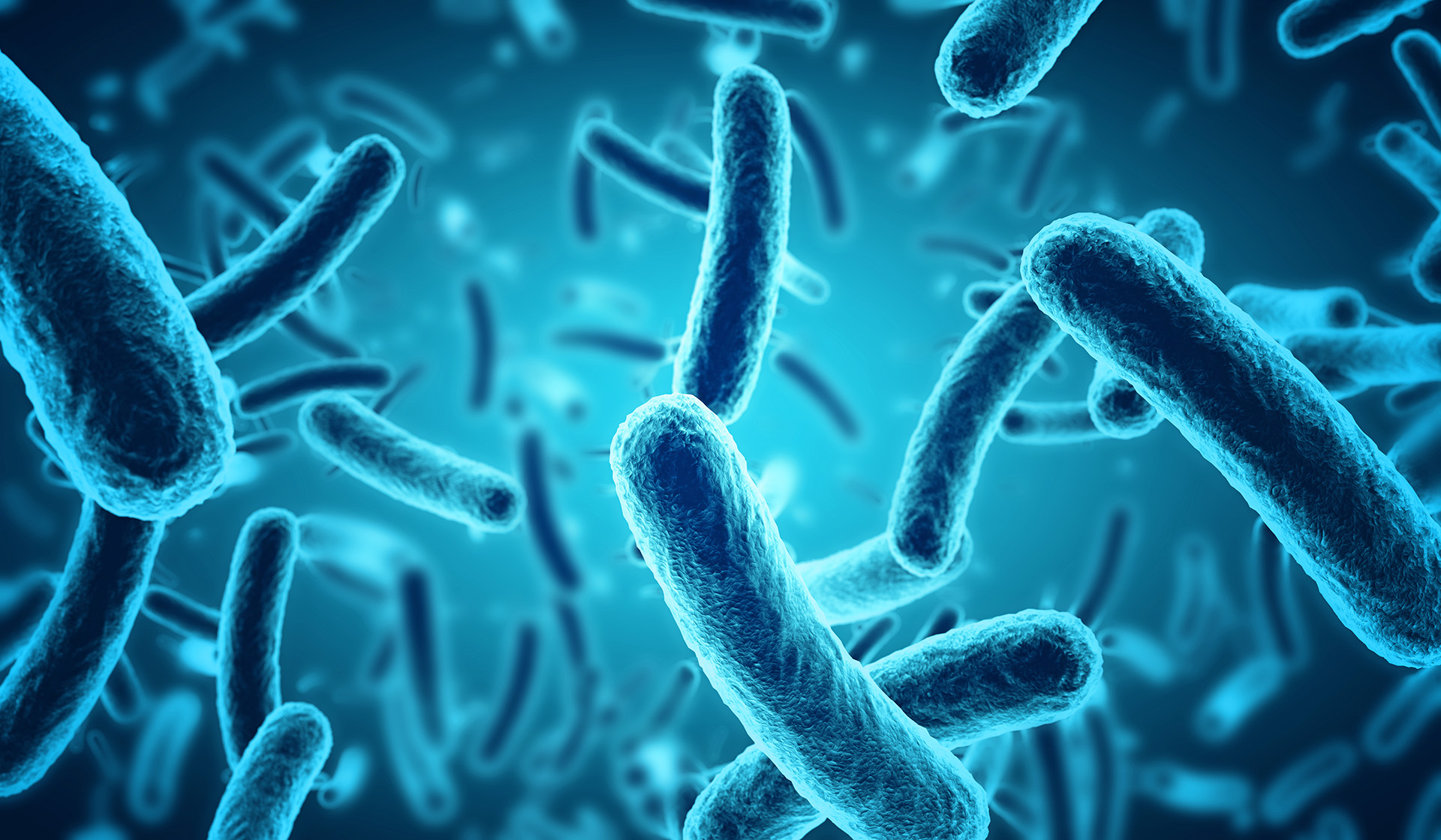 Workshop Gevarenbeheersing listeria