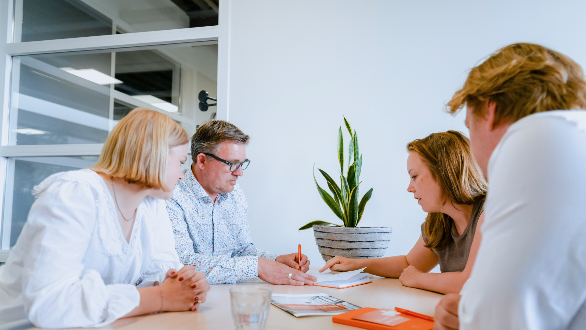 E-learning Introductie Interne auditvaardigheden