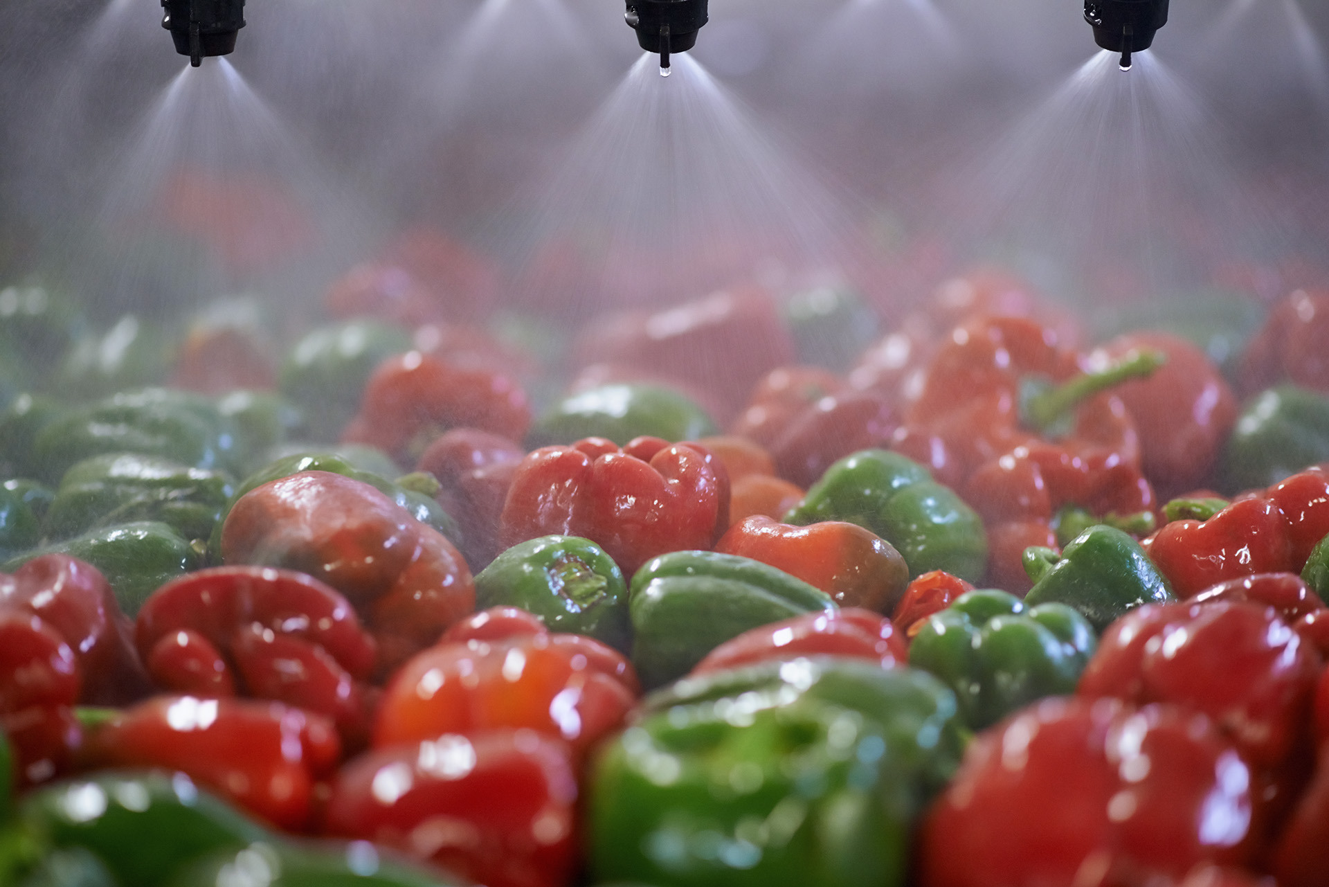 PFAS in voedingsmiddelen onder accreditatie