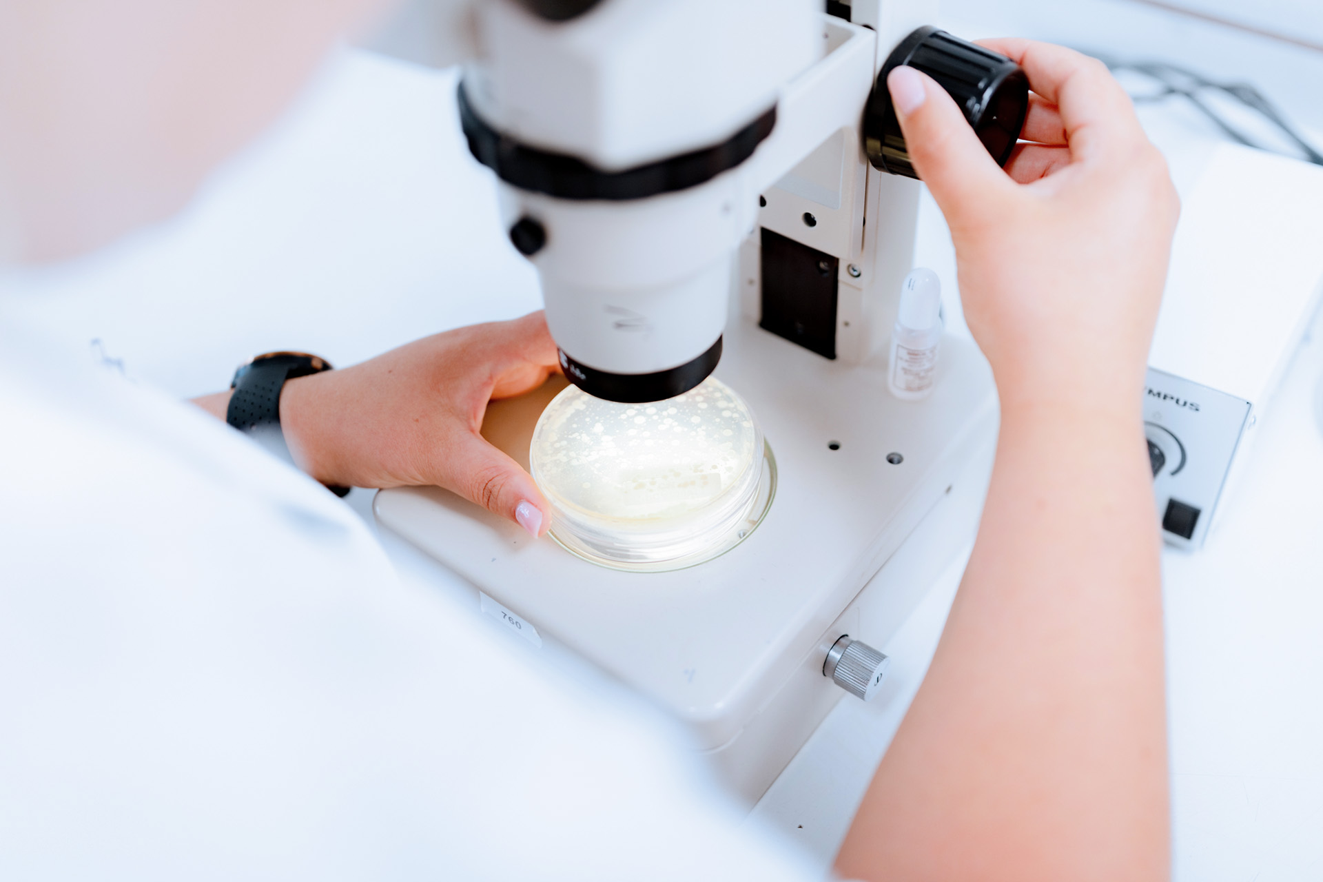 Analyse microbiologisch plan