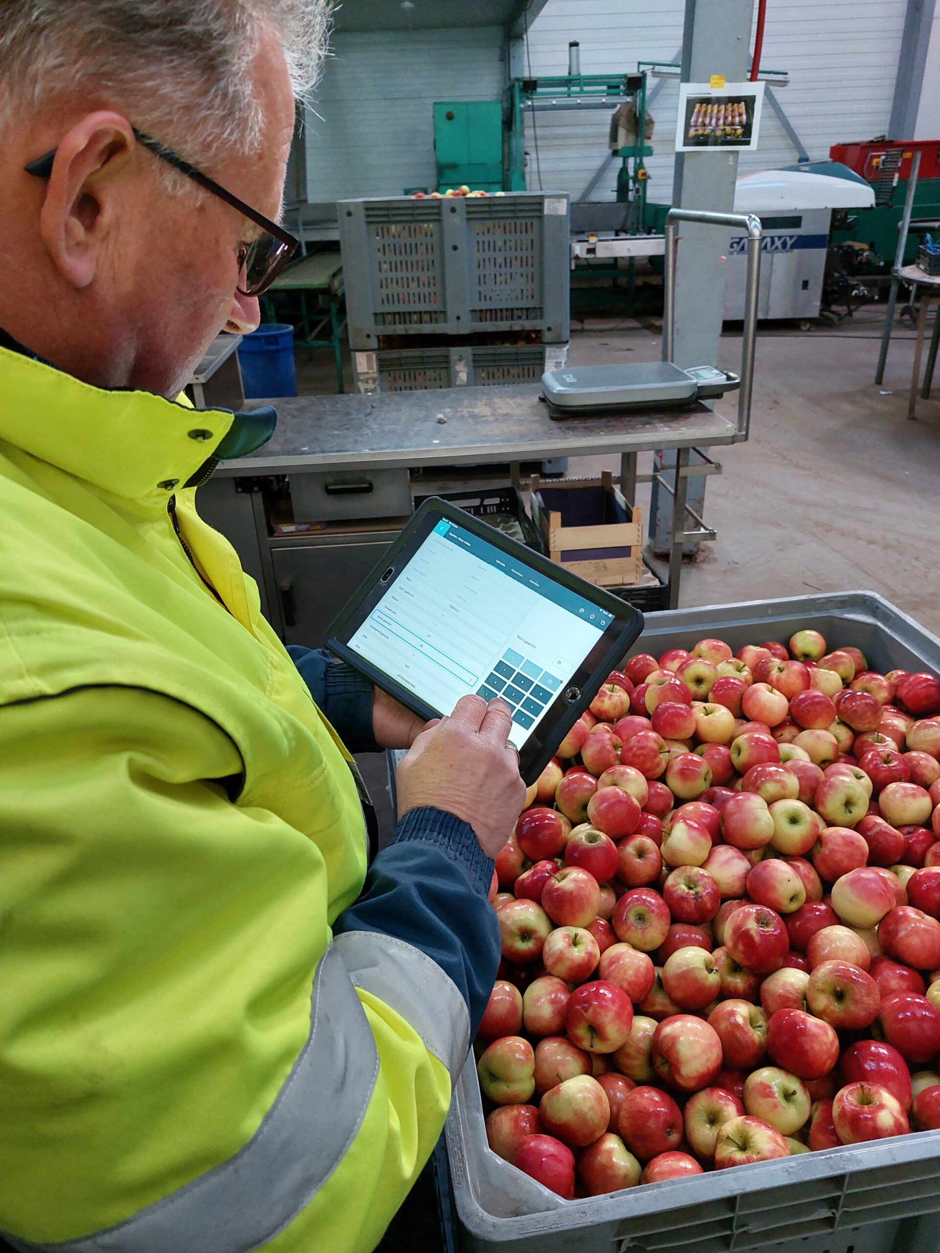 From errand boy to regional controller of hard fruit: Ko Oostdijk retires after more than 47.5 years