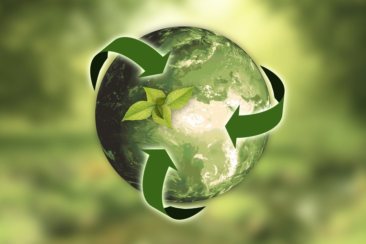 Eco-score: wat is het en wat zijn de mogelijkheden?
