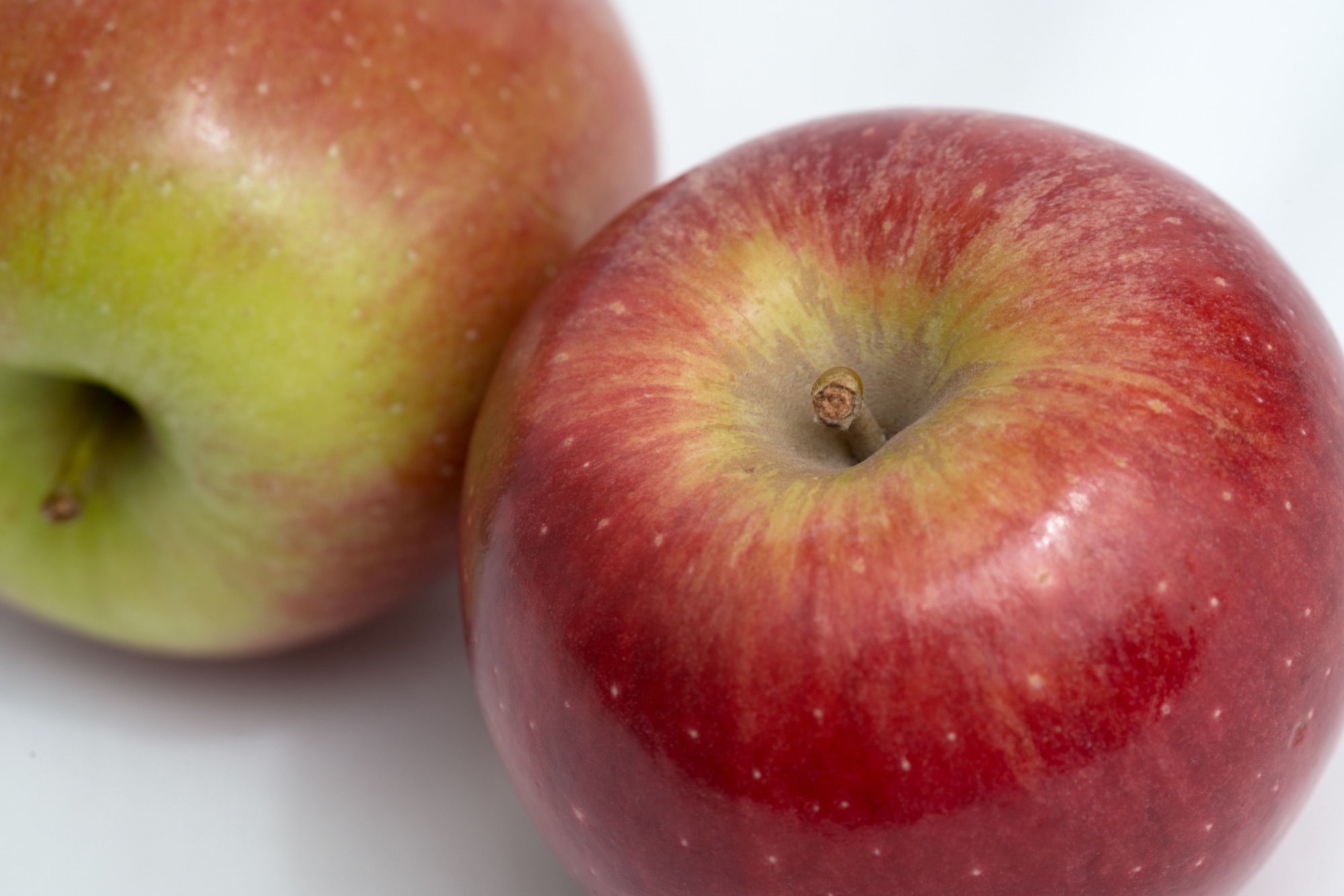 Symposium Top Fruit